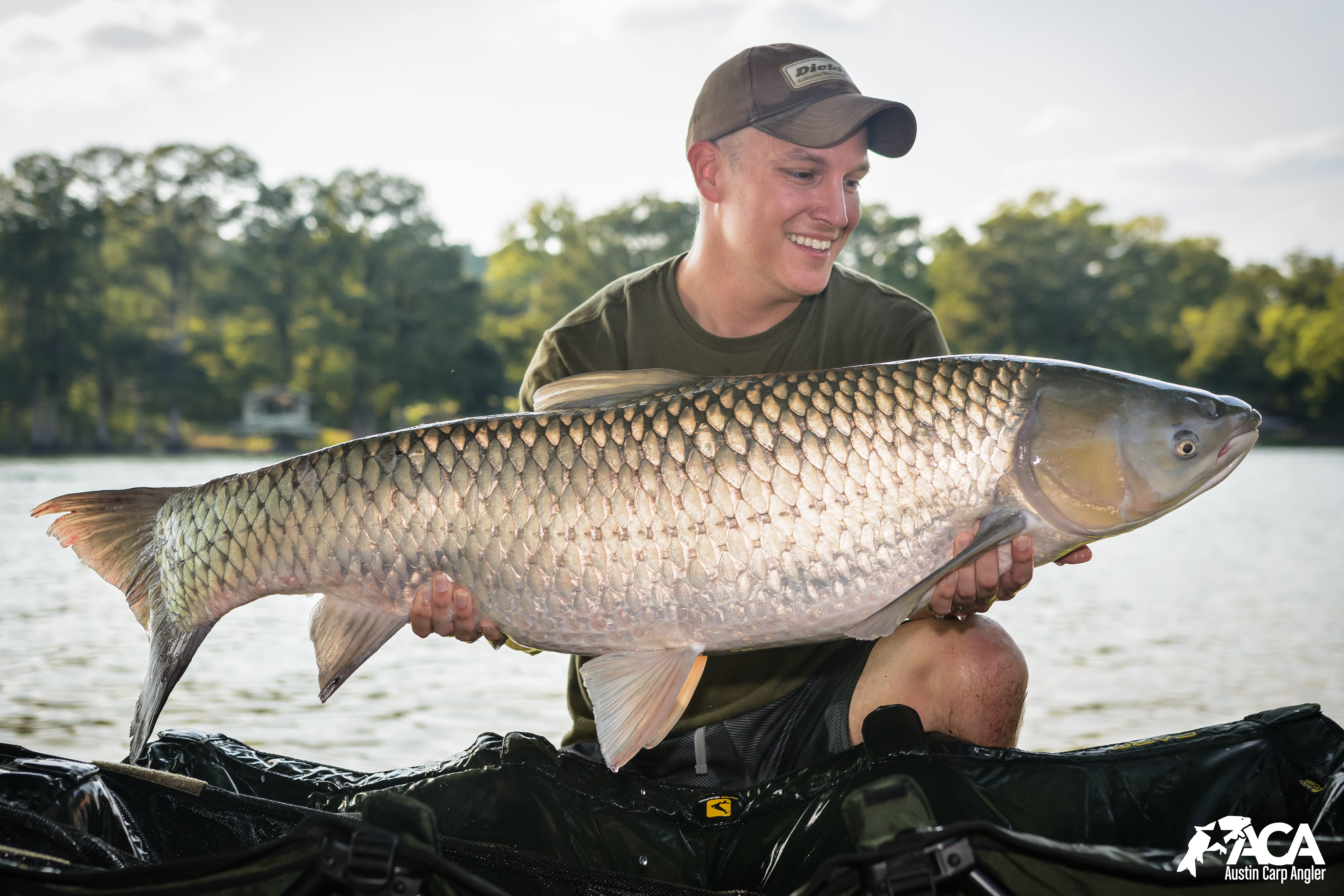 Plan to reduce grass carp in Lake Austin sparks new concerns for anglers -  Austin MonitorAustin Monitor