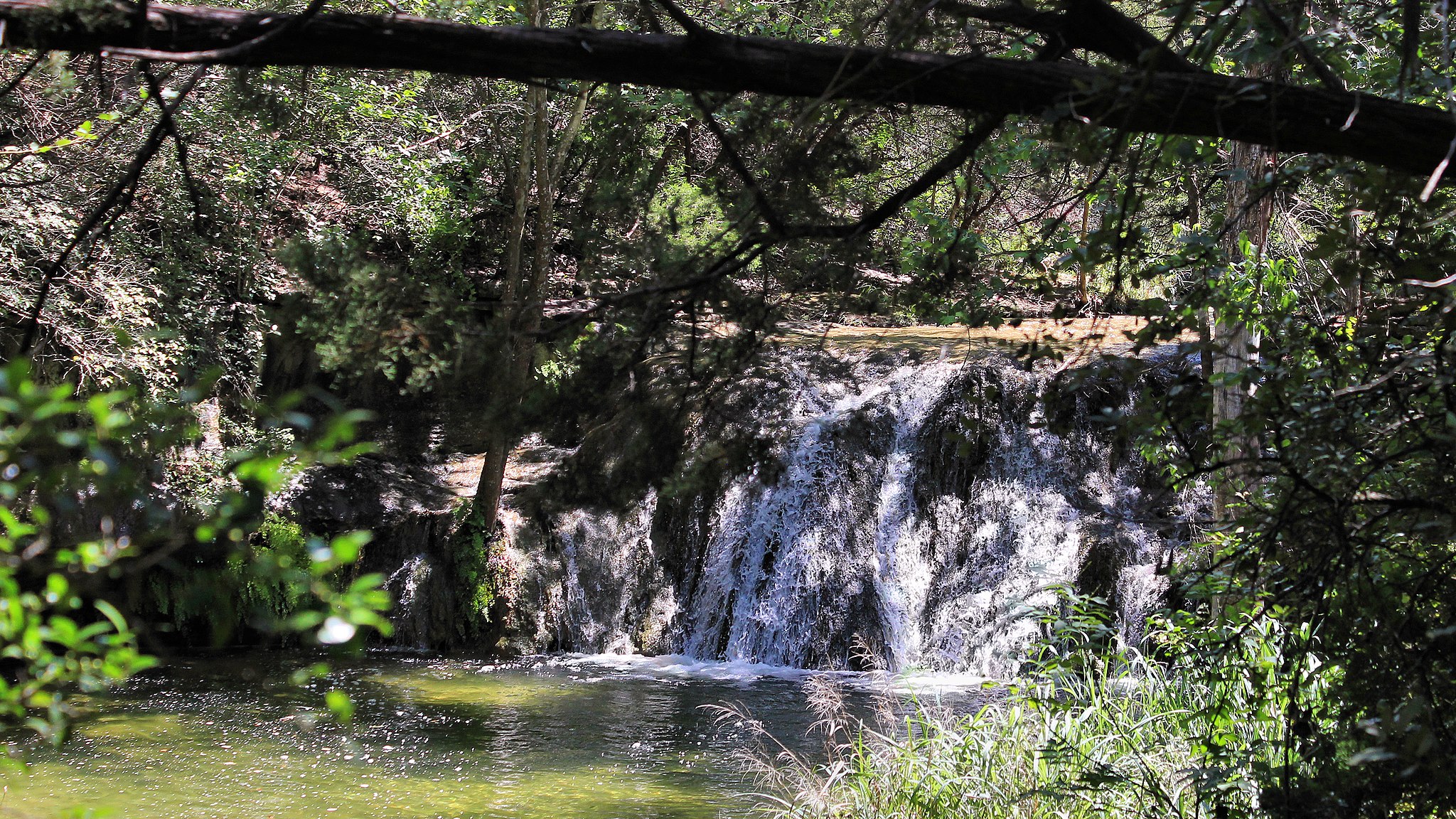 City Of Austin Watershed Protection Organizational Chart