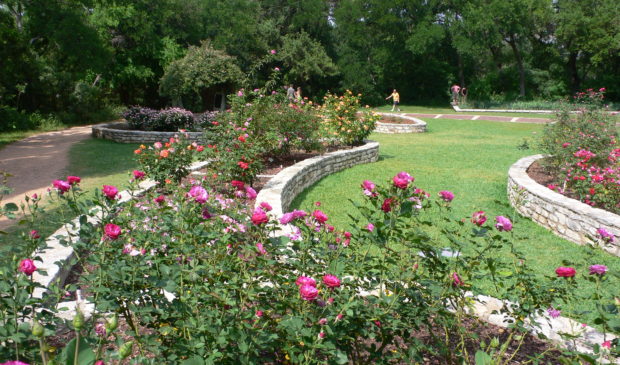 Zilker S Botanical Garden Admission Remains Unchanged For Now