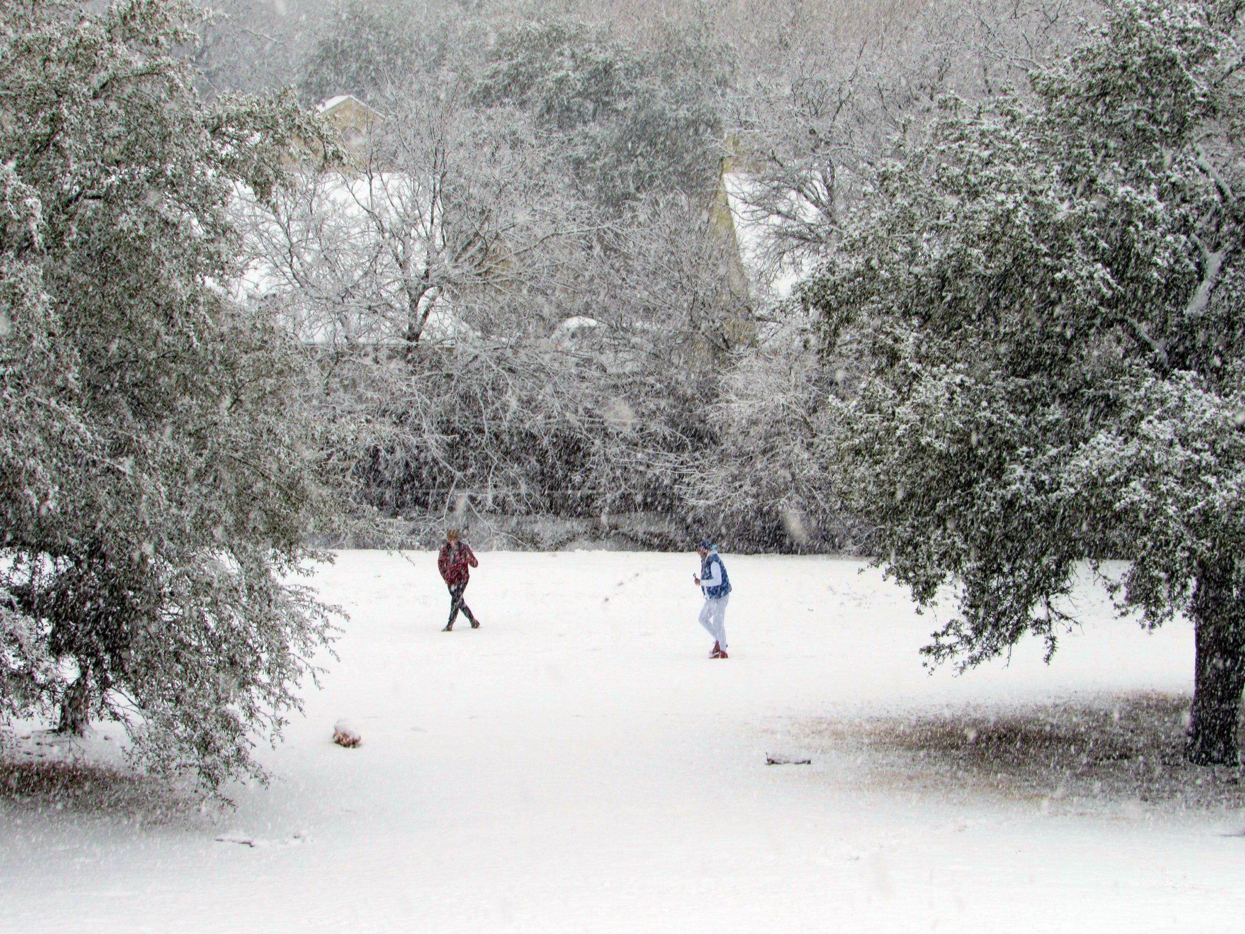 Public, Council members push for new emergency plan after winter storm
