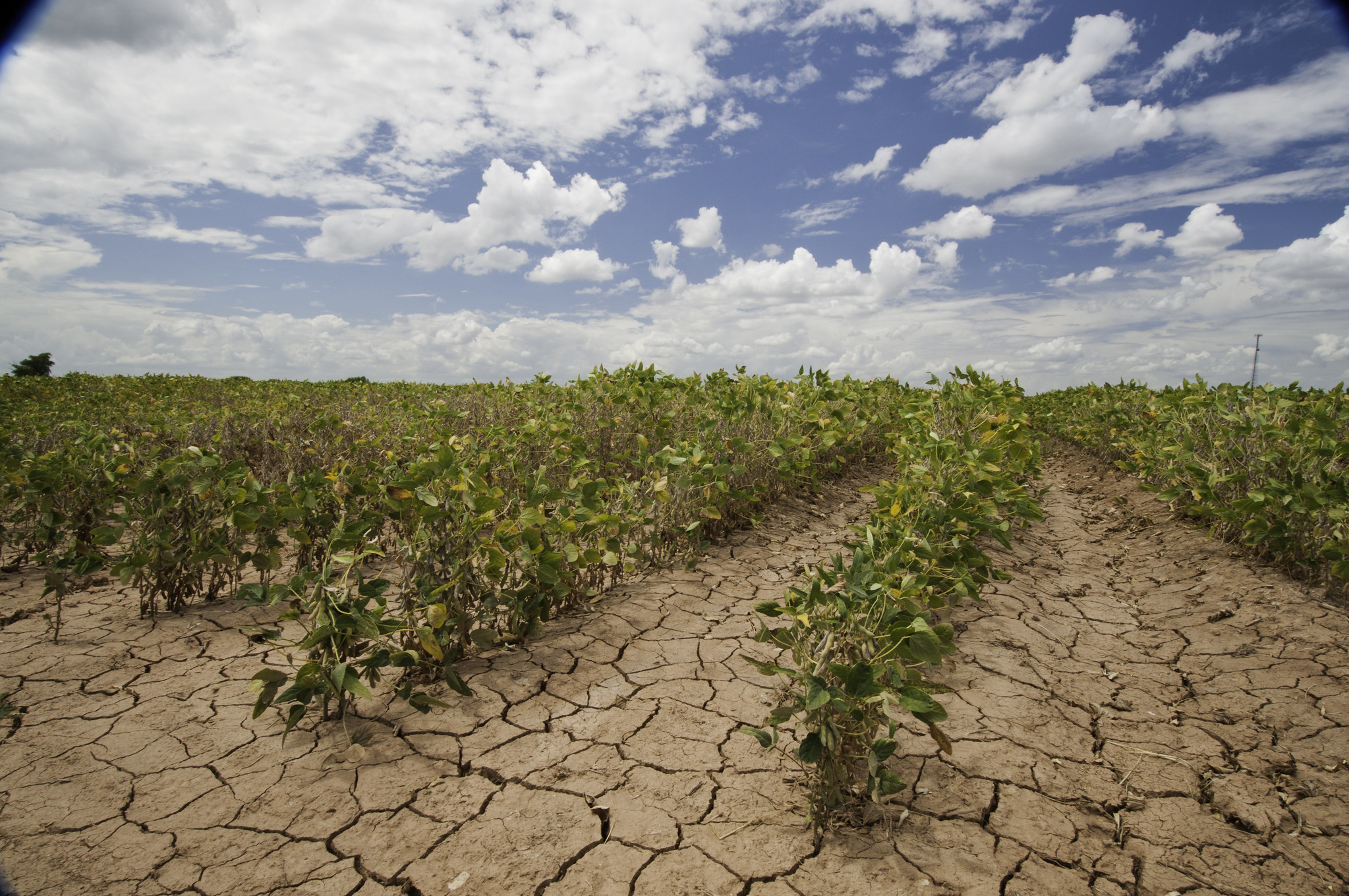 Austin Water addresses effect of drought on agriculture Austin