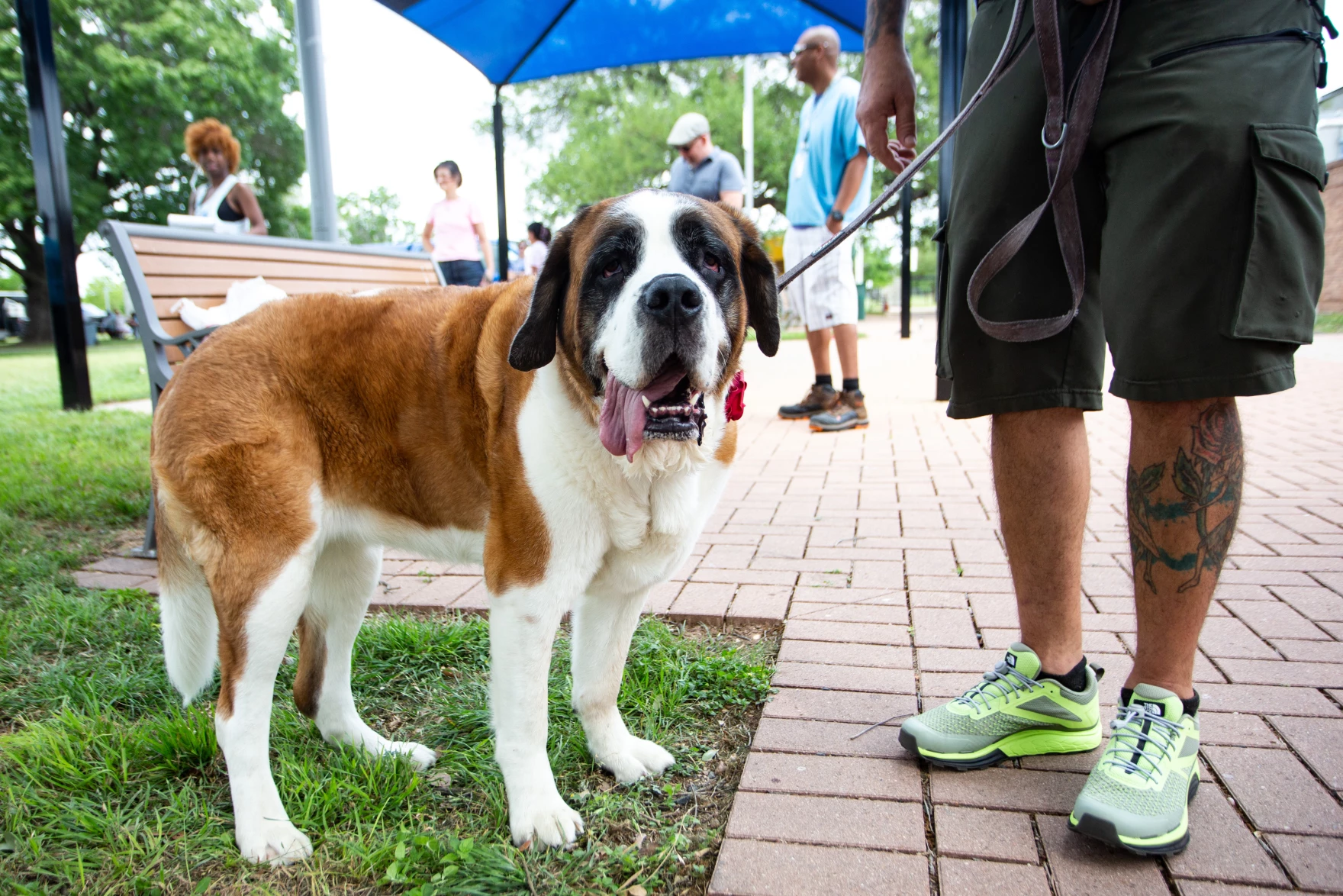 Austin Animal Center is restricting intake because its kennels are full - Austin MonitorAustin Monitor Austin Animal Center is restricting intake because its kennels are full - Austin MonitorAustin Monitor